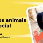 Proteção dos animais: um dever social