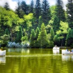 Fuja da Rotina:  Corra para o Lago Negro