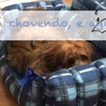 Blog da Farofa – Está chovendo, e agora?