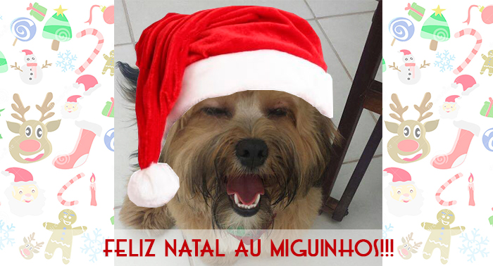 Blog da Farofa – Correria do Natal