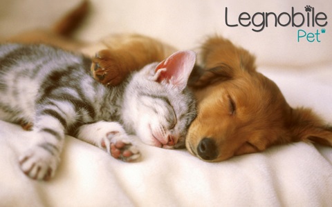 Legnobile Pet Legnobile Pet