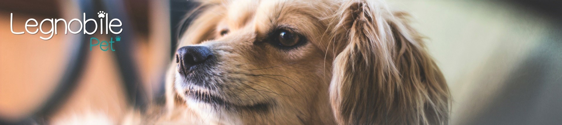Legnobile Pet Legnobile Pet