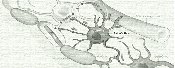 Pesquisa brasileira com astrócitos lança novos horizontes possíveis para o autismo