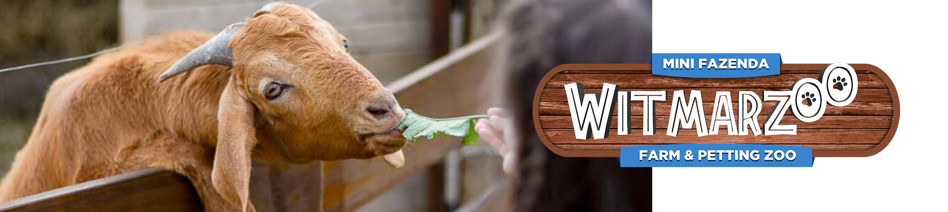 Mini Fazenda Witmarzoo Mini Fazenda Witmarzoo