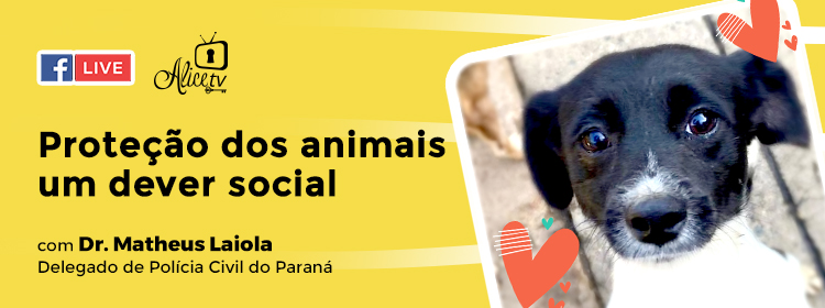 Proteção dos animais: um dever social